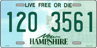 NH license plate 1203561