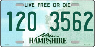 NH license plate 1203562