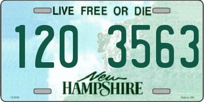 NH license plate 1203563