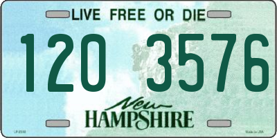 NH license plate 1203576