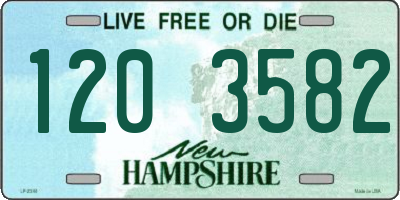 NH license plate 1203582