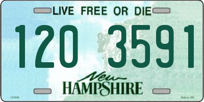 NH license plate 1203591
