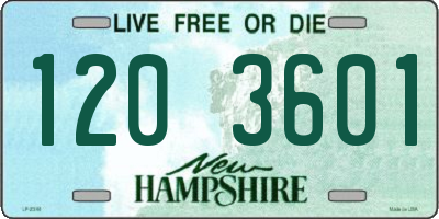 NH license plate 1203601