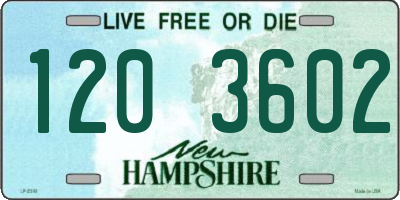 NH license plate 1203602