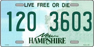 NH license plate 1203603