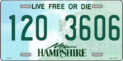 NH license plate 1203606