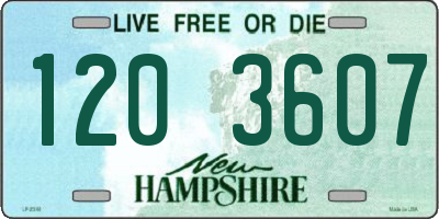 NH license plate 1203607