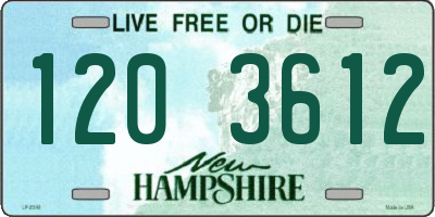NH license plate 1203612