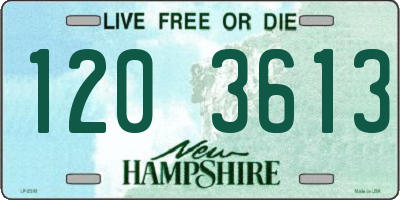 NH license plate 1203613