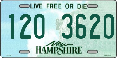 NH license plate 1203620