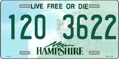 NH license plate 1203622