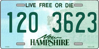 NH license plate 1203623