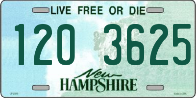 NH license plate 1203625