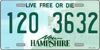 NH license plate 1203632