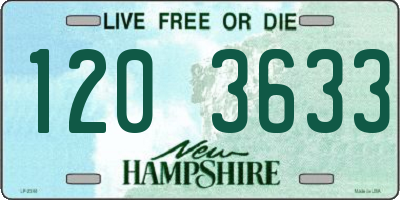 NH license plate 1203633