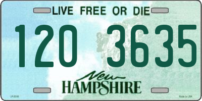 NH license plate 1203635