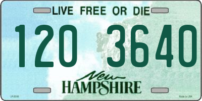 NH license plate 1203640