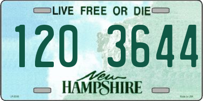 NH license plate 1203644