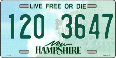 NH license plate 1203647