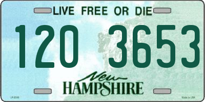 NH license plate 1203653