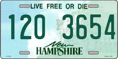 NH license plate 1203654