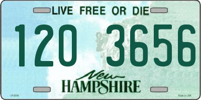 NH license plate 1203656