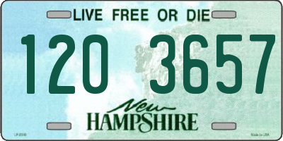 NH license plate 1203657
