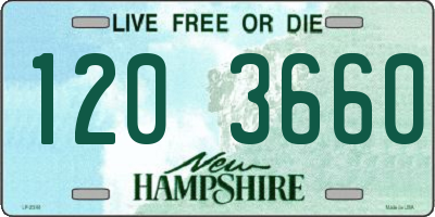 NH license plate 1203660