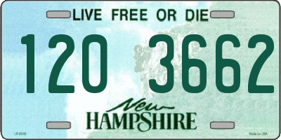 NH license plate 1203662