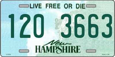 NH license plate 1203663