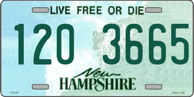NH license plate 1203665