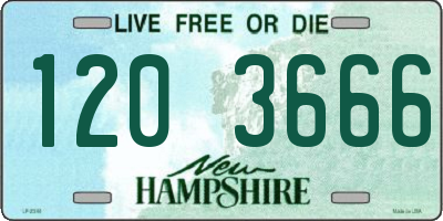 NH license plate 1203666