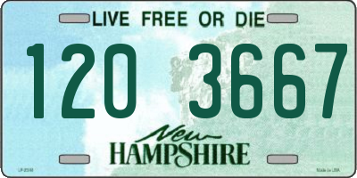 NH license plate 1203667
