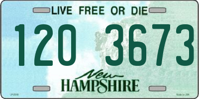 NH license plate 1203673
