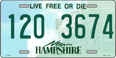 NH license plate 1203674