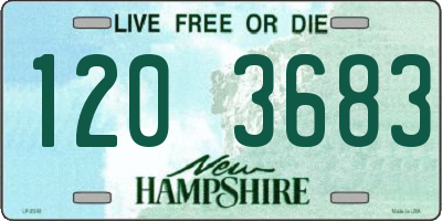 NH license plate 1203683