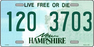 NH license plate 1203703