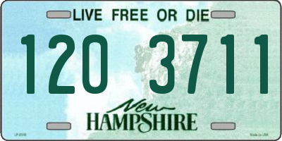 NH license plate 1203711