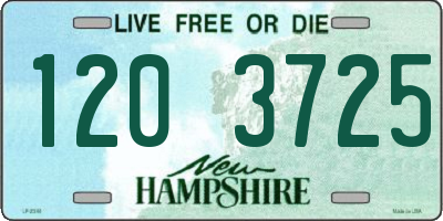 NH license plate 1203725