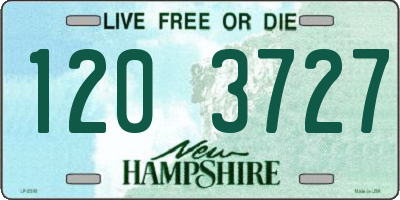 NH license plate 1203727