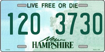 NH license plate 1203730