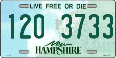 NH license plate 1203733