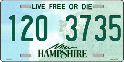 NH license plate 1203735