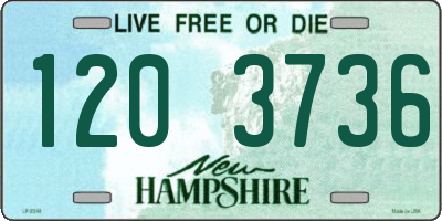NH license plate 1203736