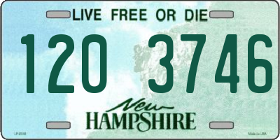 NH license plate 1203746