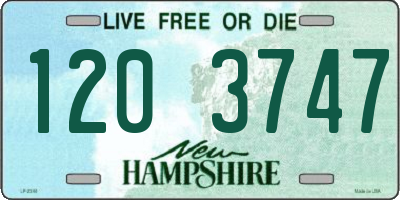 NH license plate 1203747