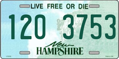 NH license plate 1203753