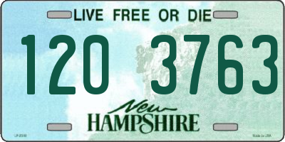NH license plate 1203763