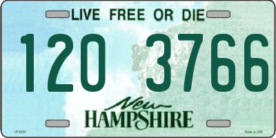 NH license plate 1203766