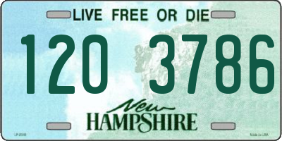 NH license plate 1203786